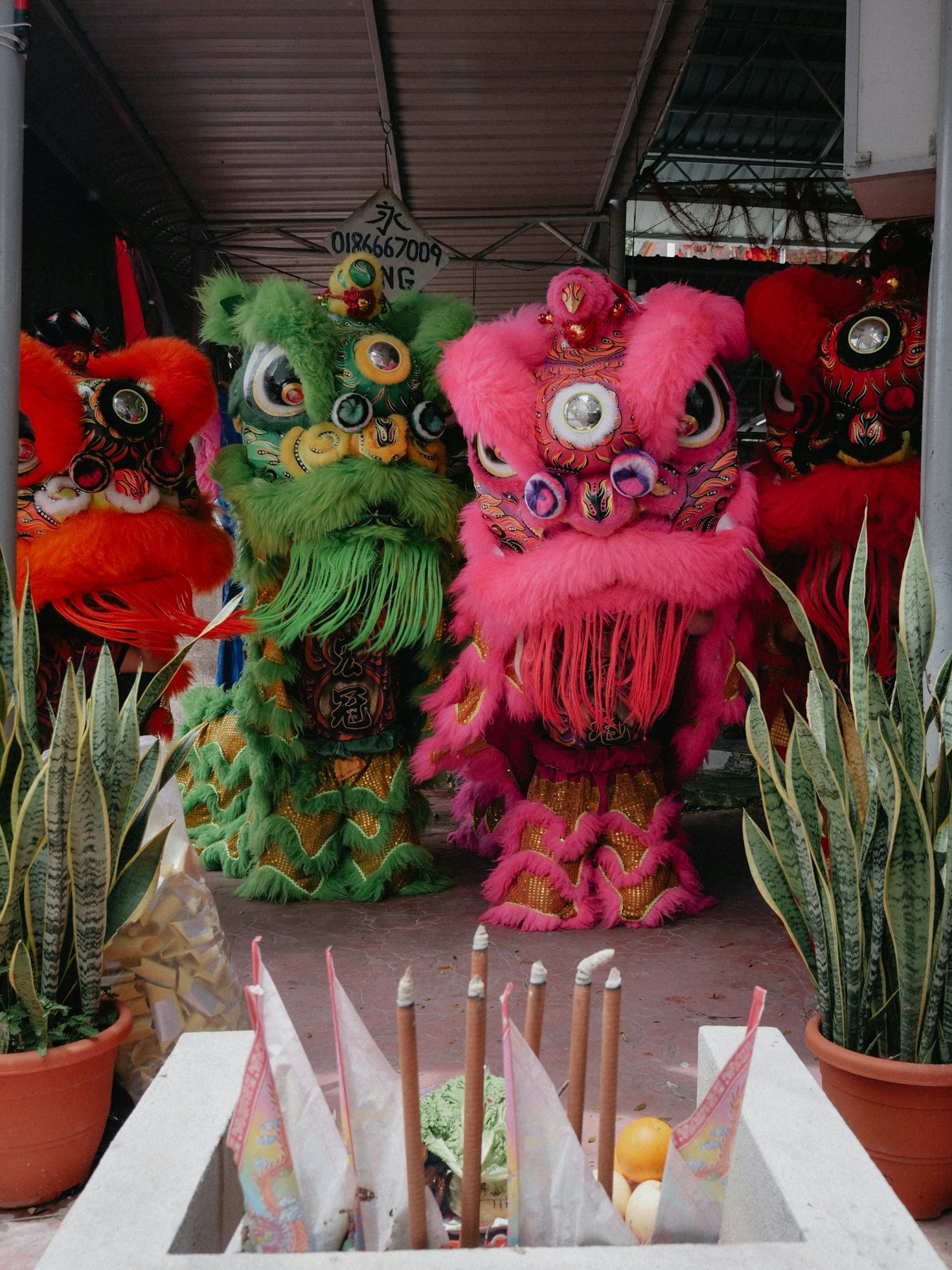 From Local to Global: Expanding Your Business Reach